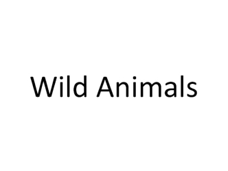 Wild Animals