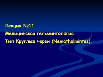 Медицинская гельминтология. Тип Круглые черви (Nemathelmintes)