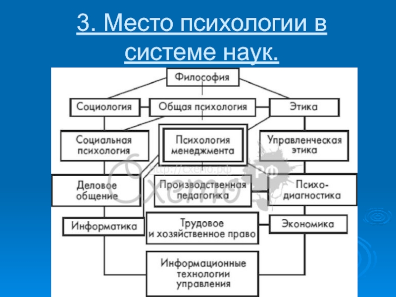 Место психологии в системе