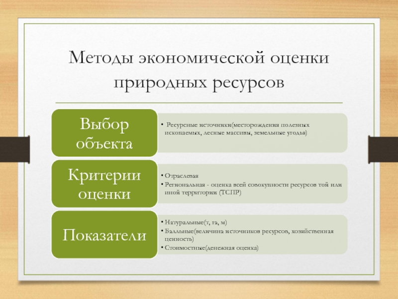 Оцените природные. Методы экономической оценки природных ресурсов. Подходы к экономической оценке природных ресурсов. Методы экономич оценки природных ресурсов. Методы оценивания природных ресурсов.