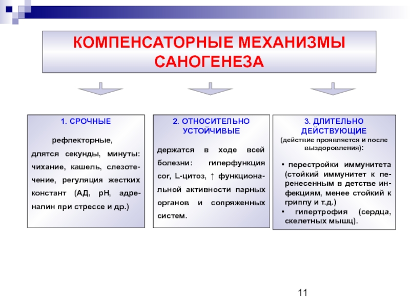 Компенсаторные механизмы