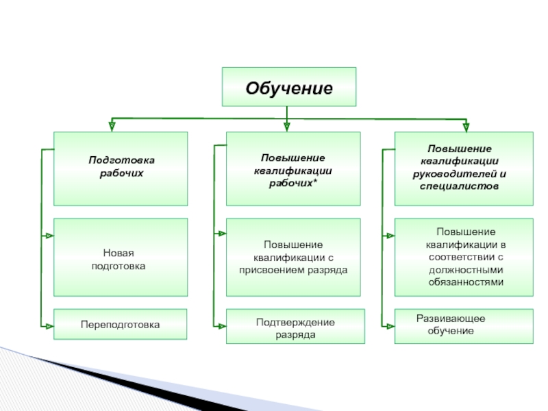 Республика организация. Виды подготовки. Виды тренингов схема. Виды обучаемости. Типы организаций обучающая.