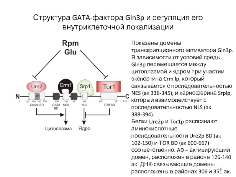 Gln производителя