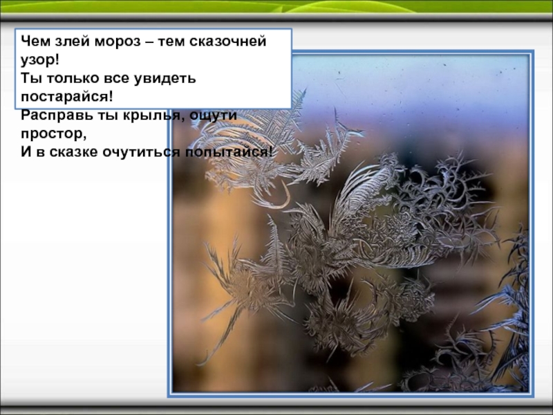 Презентация на тему мороз. Чем злей Мороз – тем сказочней узор! Ты только всё увидеть постарайся!. Стих чем злей Мороз тем сказочней узор. Что и почему рисует Мороз на стеклах презентация. Как узор на стекле текст.