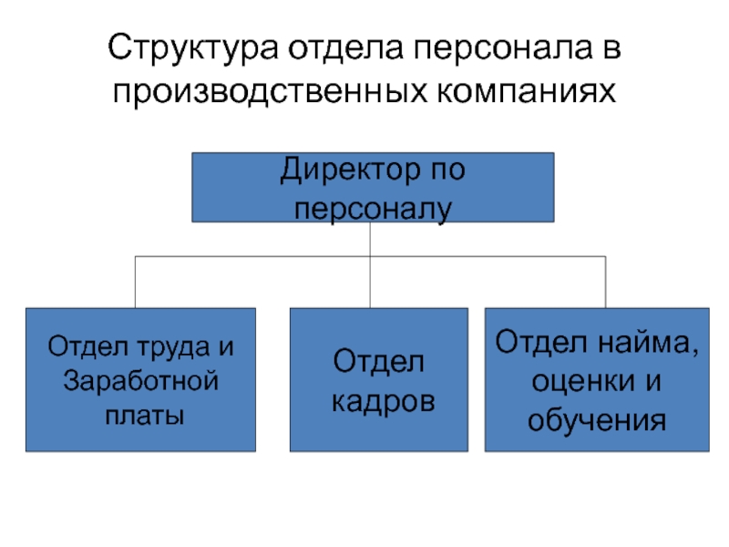 Виды отдела кадров