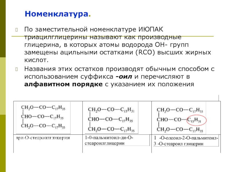 Схема образования триацилглицерина