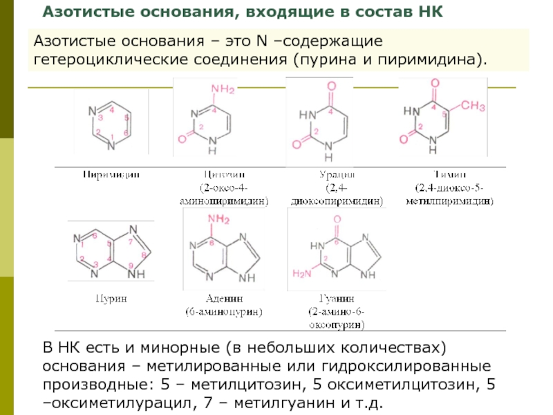 Презентация азотсодержащие гетероциклические соединения нуклеиновые кислоты