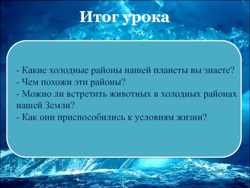 Холодные районы. Холодные районы земли. Холодные районы земли 1 класс окружающий мир. Животный мир холодных районов планеты. Как животные приспособились жить в холодных районах земли.