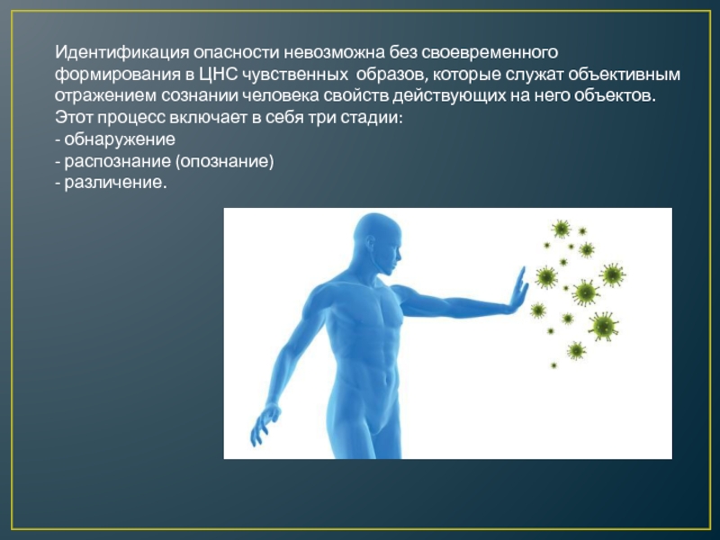 Отражение в сознании человека внешних свойств предмета