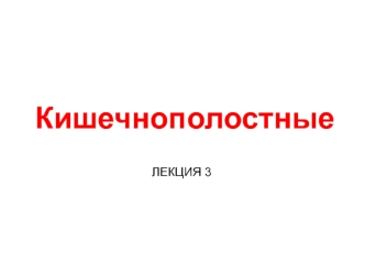 Кишечнополостные. Характеристика типа Гребневики, особенности строения, закладка мезодермы