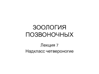 Зоология позвоночных. Надкласс четвероногие. (Лекция 7)