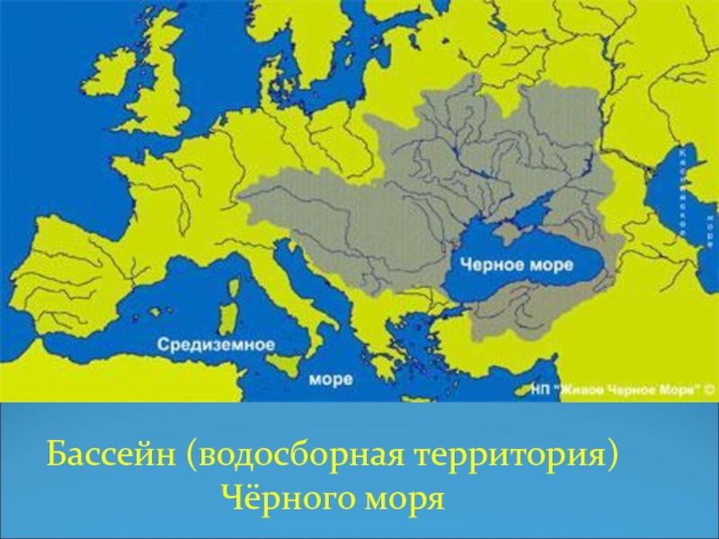 Азовское море впадает в черное. Черное море бассейн реки Дунай. Бассейн рек впадающих в чёрное море. Реки бассейна черного моря на карте. Карта бассейна черного моря.