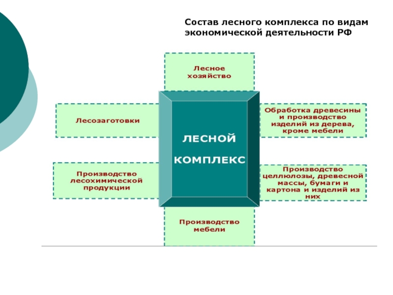 Продукция лесного комплекса