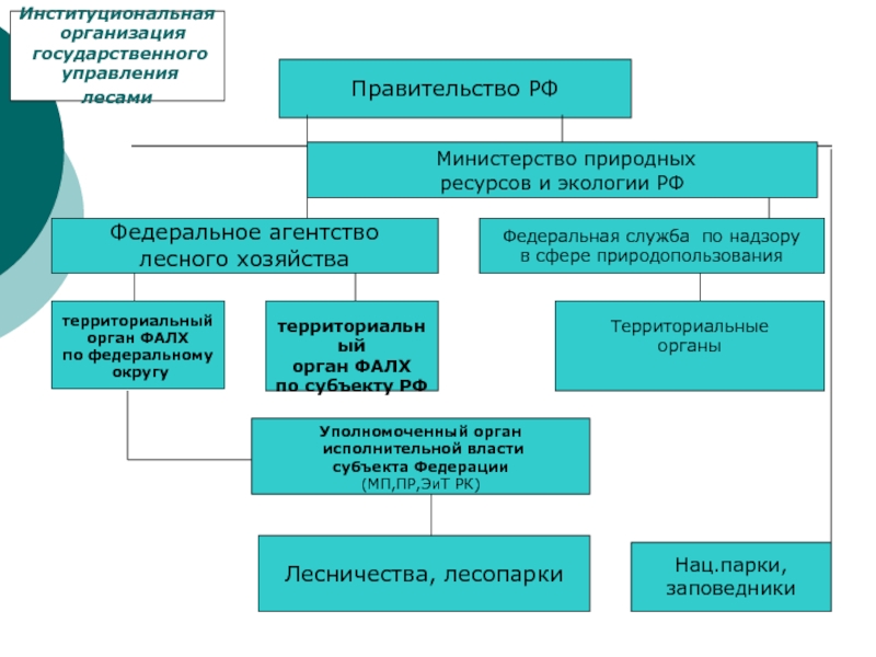 Схема структуры министерства природных ресурсов и экологии рф