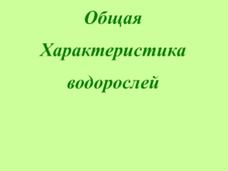 Общая Характеристика водорослей