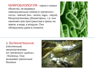 Введение в микробиологию