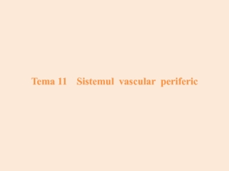 Sistemul vascular periferic