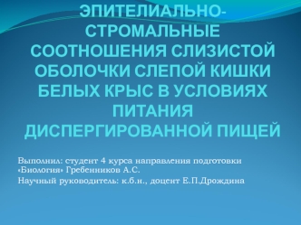 Эпителиально-стромальные соотношения слизистой слепой кишки при питании диспергированной пищей