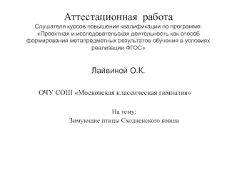 Аттестационная работа. Зимующие птицы Сходненского ковша