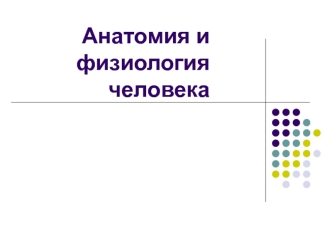 Анатомия и физиология человека