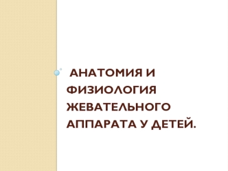 Анатомия и физиология жевательного аппарата у детей