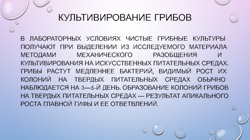 Культура получается. Метод механического разобщения бактерий. Методы разобщения микроорганизмов. Выделение чистой культуры грибов. Методы разобщения бактерий.