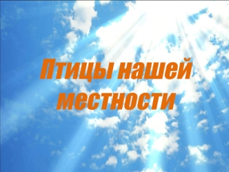 Птицы нашей местности