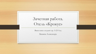 Организационная структура отеля Крокус