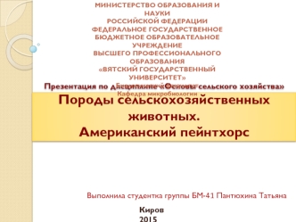 Породы сельскохозяйственных животных. Американский пейнтхорс