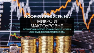 Эффективность на микро- и макроуровне