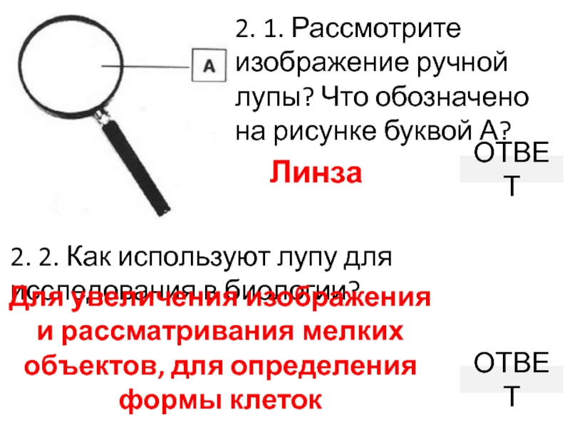 Рассмотрите изображение лупы что обозначено на рисунке буквой а