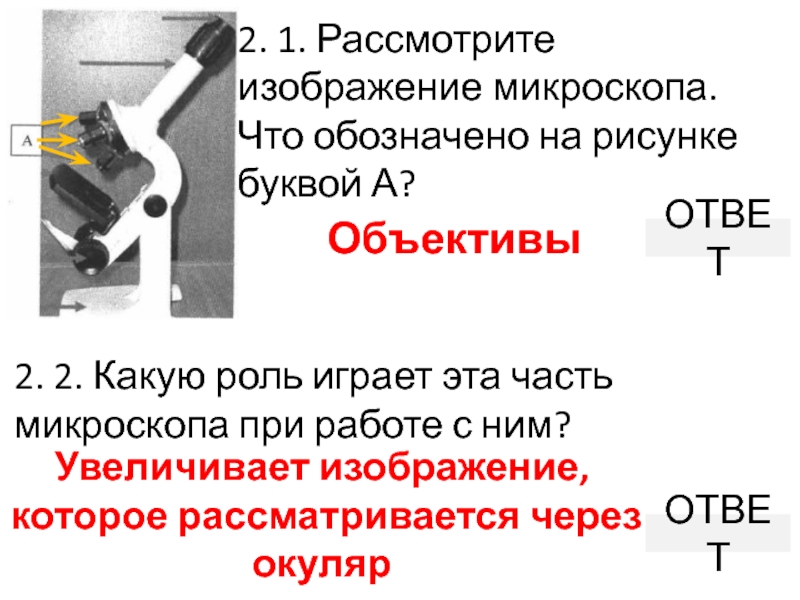 Рассмотрите изображение микроскопа что обозначено на рисунке буквой б