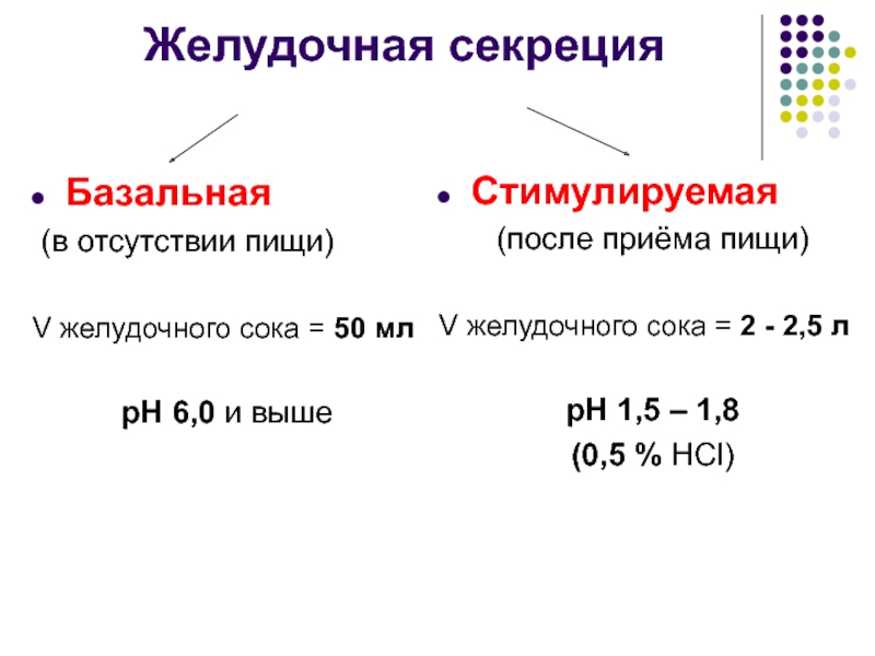 Выработка желудочного сока