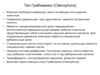 Тип Гребневики (Ctenophora)