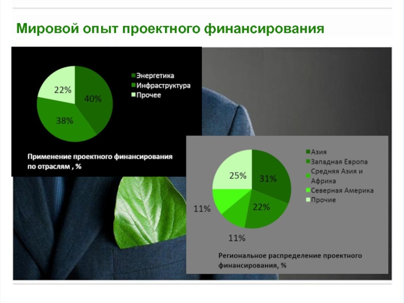 Реферат: Мировой опыт проектного финансирования