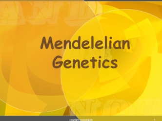 Mendelelian Genetics