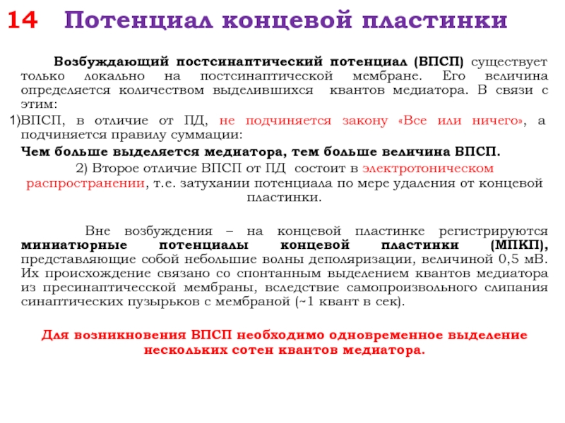 Потенциал концевой пластинки. Потенциал концевой пластинки это физиология. Квант медиатора. Квантовое выделение медиатора. Миниатюрные постсинаптические потенциалы.