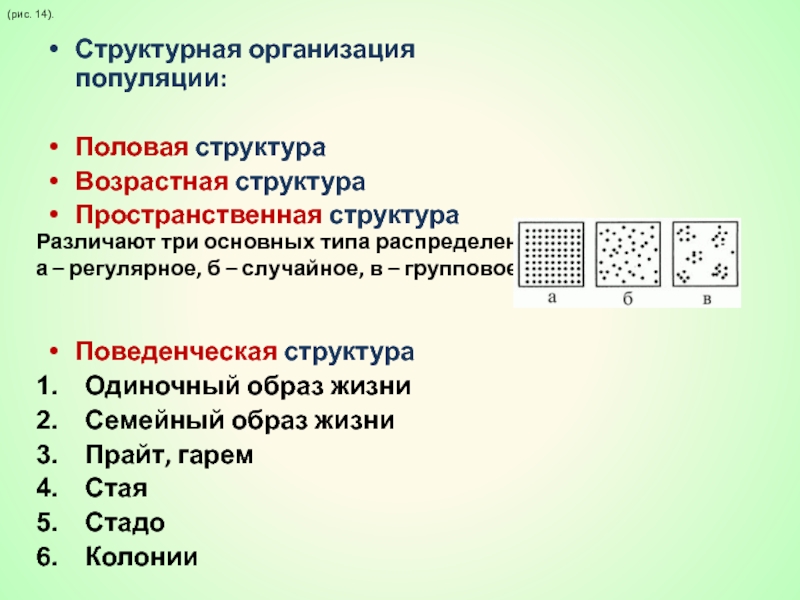 На схемах показана возрастная структура популяций какая из популяций наиболее жизнеспособна