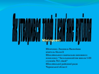 Як утворився торф і кам’яне вугілля. Міні-проект