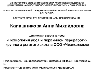 Технология убоя и первичной переработки крупного рогатого скота в ООО Черноземье