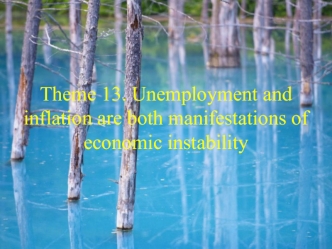 Theme 13. Unemployment and inflation are both manifestations of economic instability