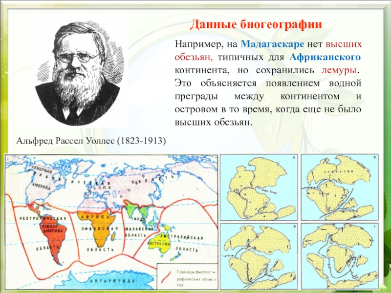 Биогеография. Основоположники биогеографии. Биогеография презентация. Биогеографическое деление.