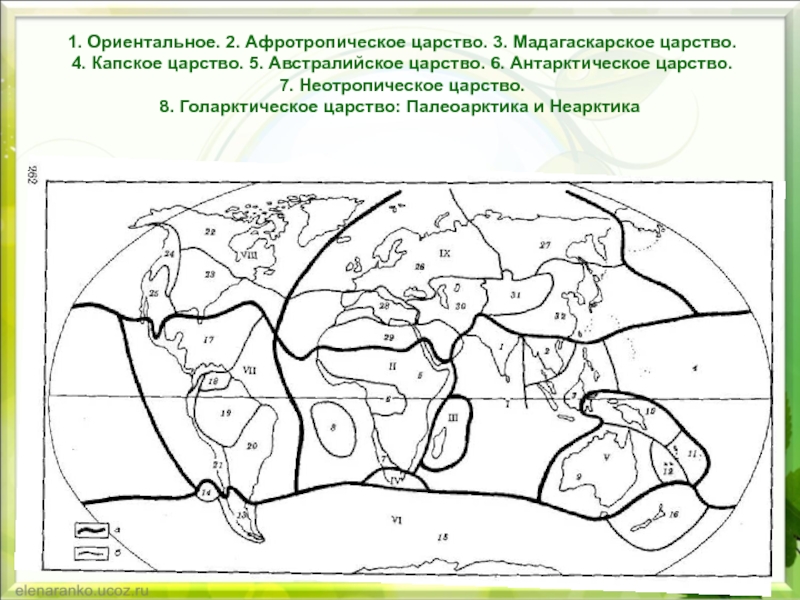 Карта мира биогеография