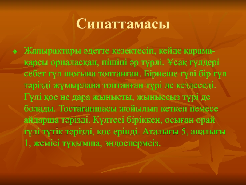 Графикалық файл пішіні деген не