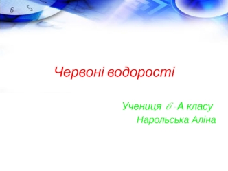 Червоні водорості