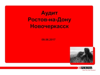 Аудит Ростов-на-Дону, Новочеркасск