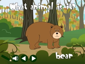 What animals is it?