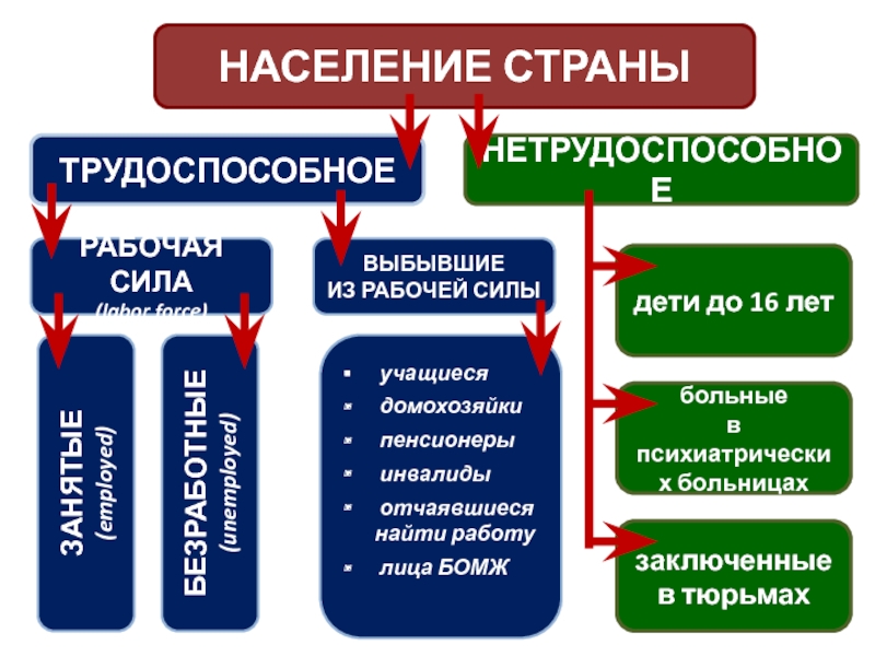 Активная рабочая сила. Структура трудоспособного населения. Структура трудоспособного и нетрудоспособного населения. Выбывшие из рабочей силы. Трудоспособное население страны схема.