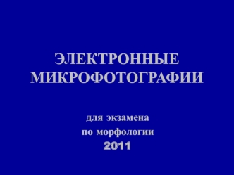 Электронные микрофотографии для экзамена по морфологии