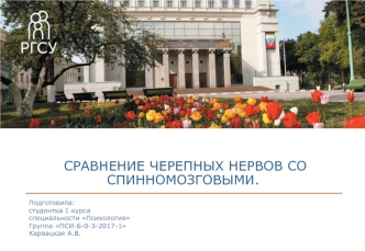 Сравнение черепных нервов со спинномозговыми